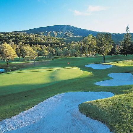 The Black Bear Lodge At Stratton Mountain Resort Facilities photo